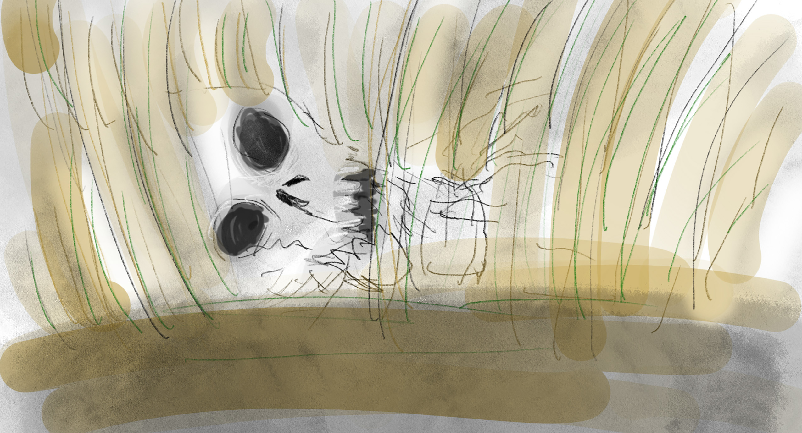 Untitled_Artwork 24.jpg
