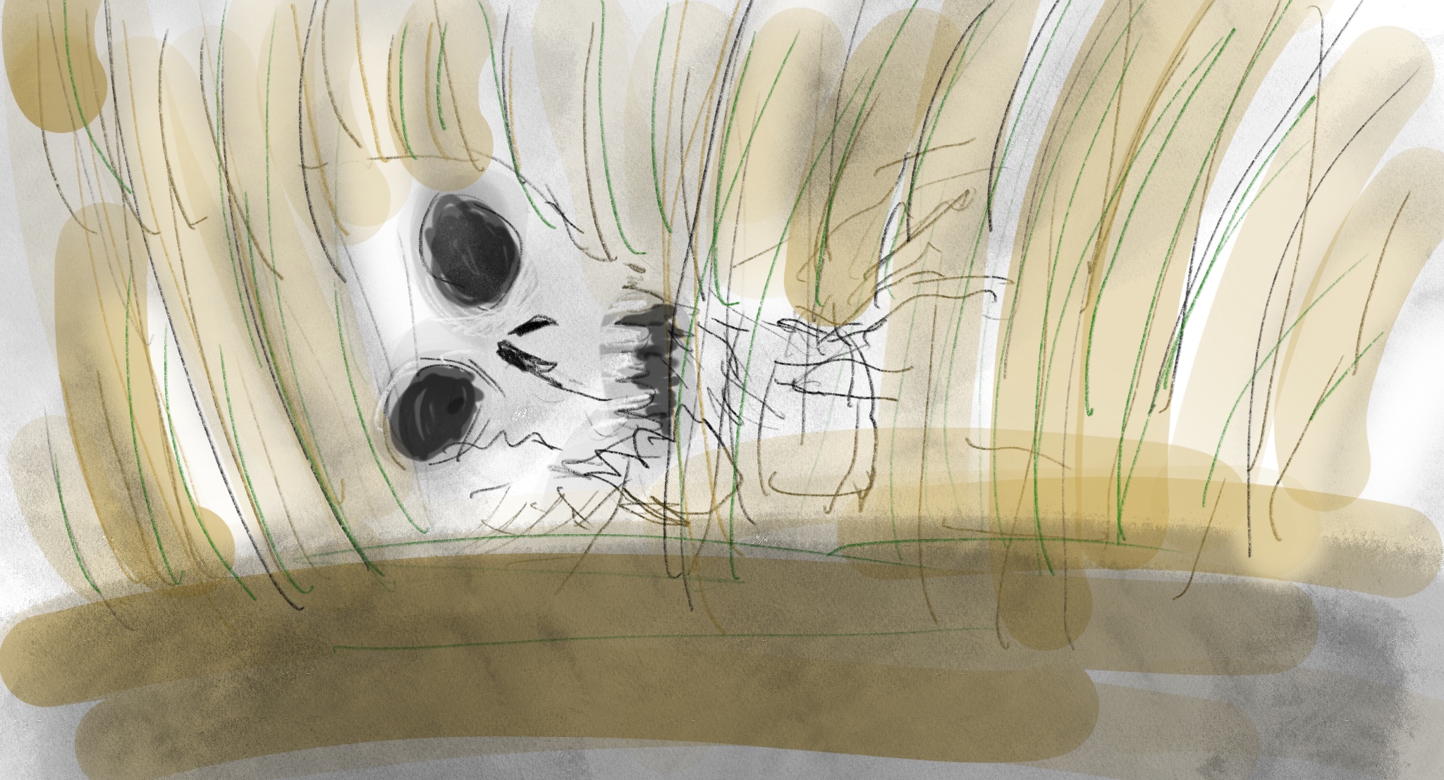 Untitled_Artwork 36.jpg