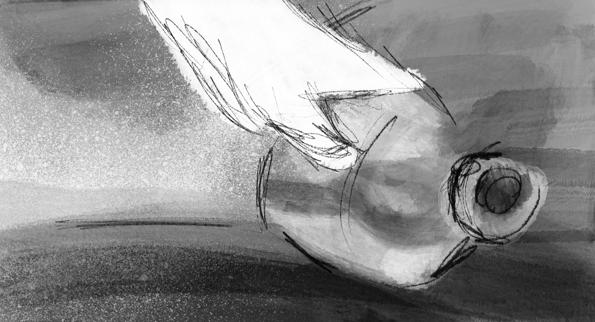 Untitled_Artwork 145.jpg