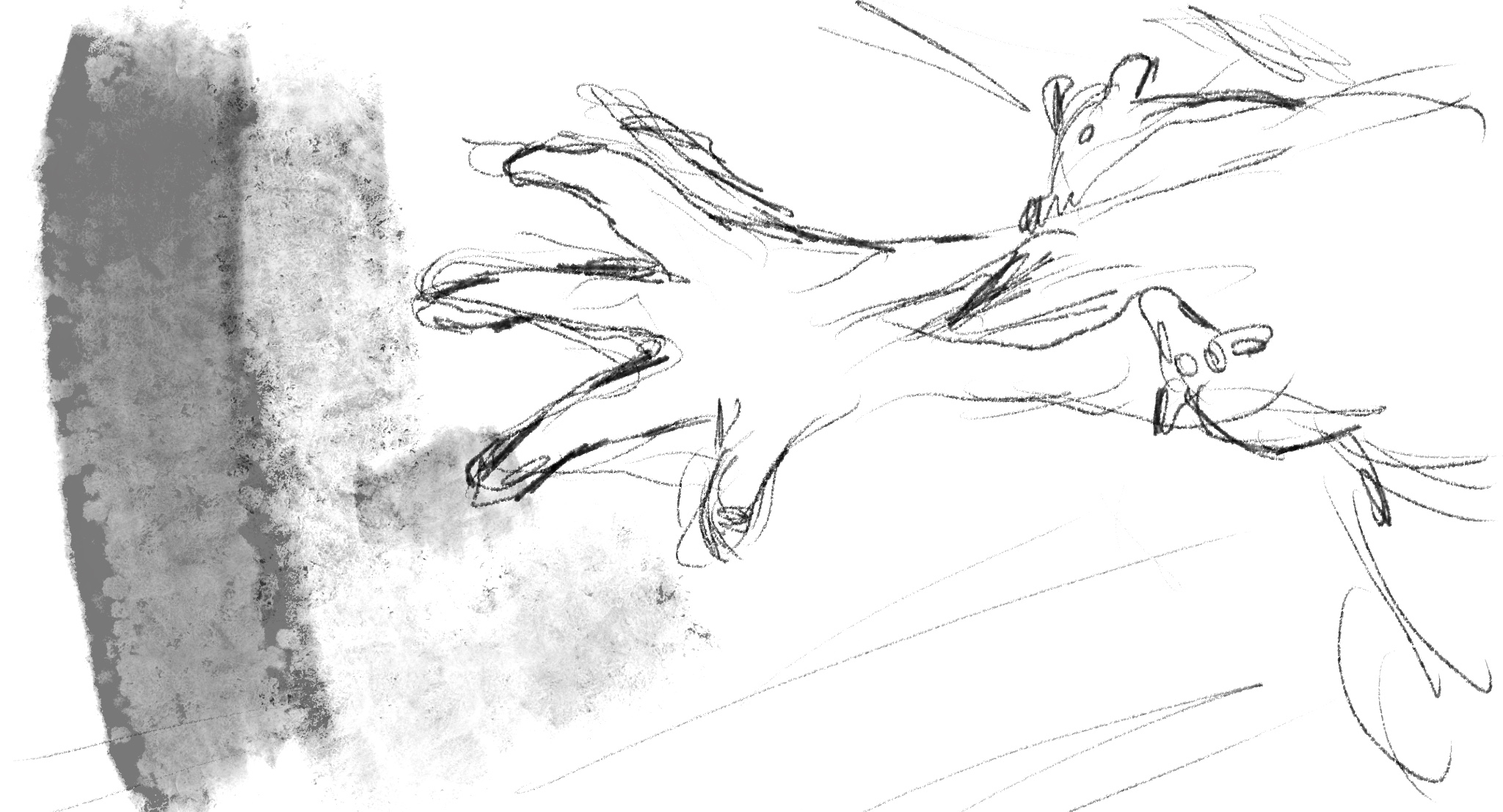 Untitled_Artwork 220.jpg