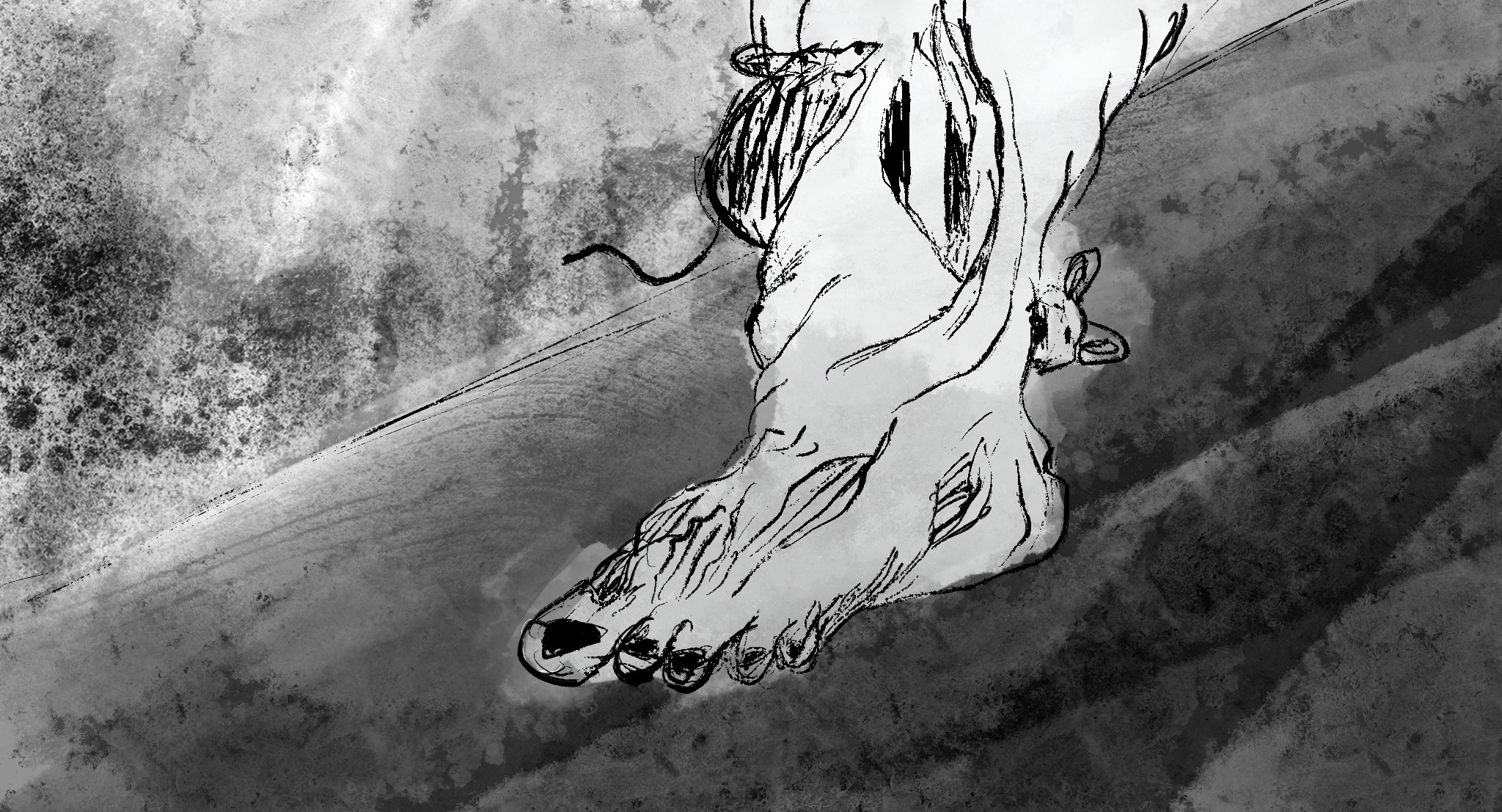Untitled_Artwork 221.jpg