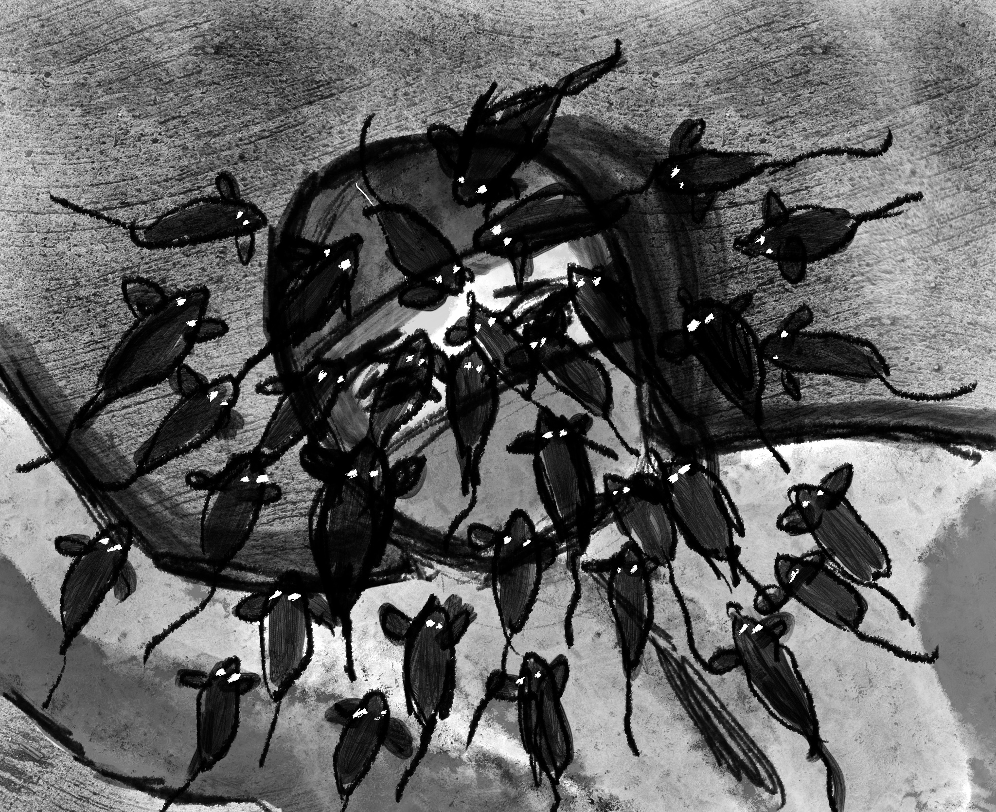 Untitled_Artwork 260.jpg