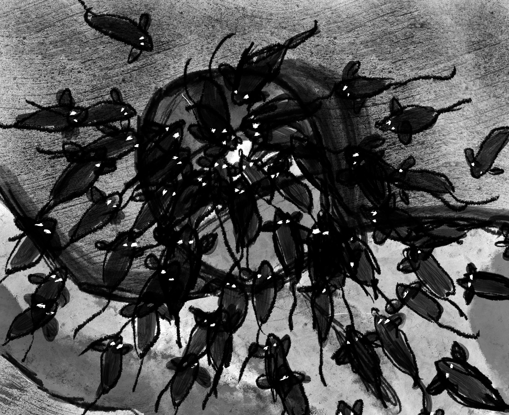 Untitled_Artwork 261.jpg