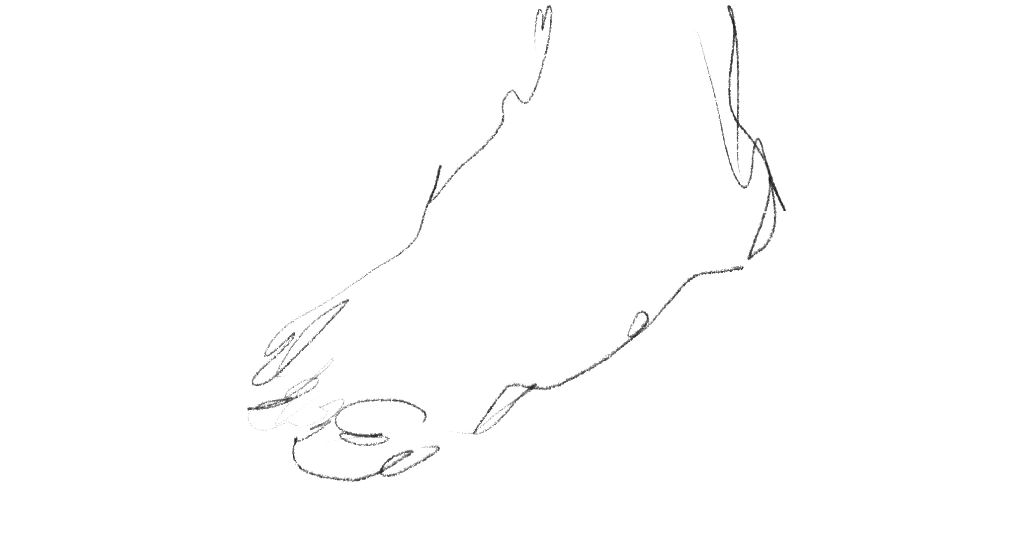 Untitled_Artwork 124.jpg