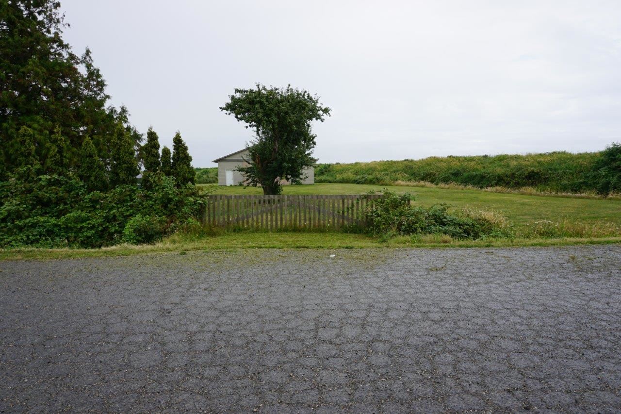 977423.jpg