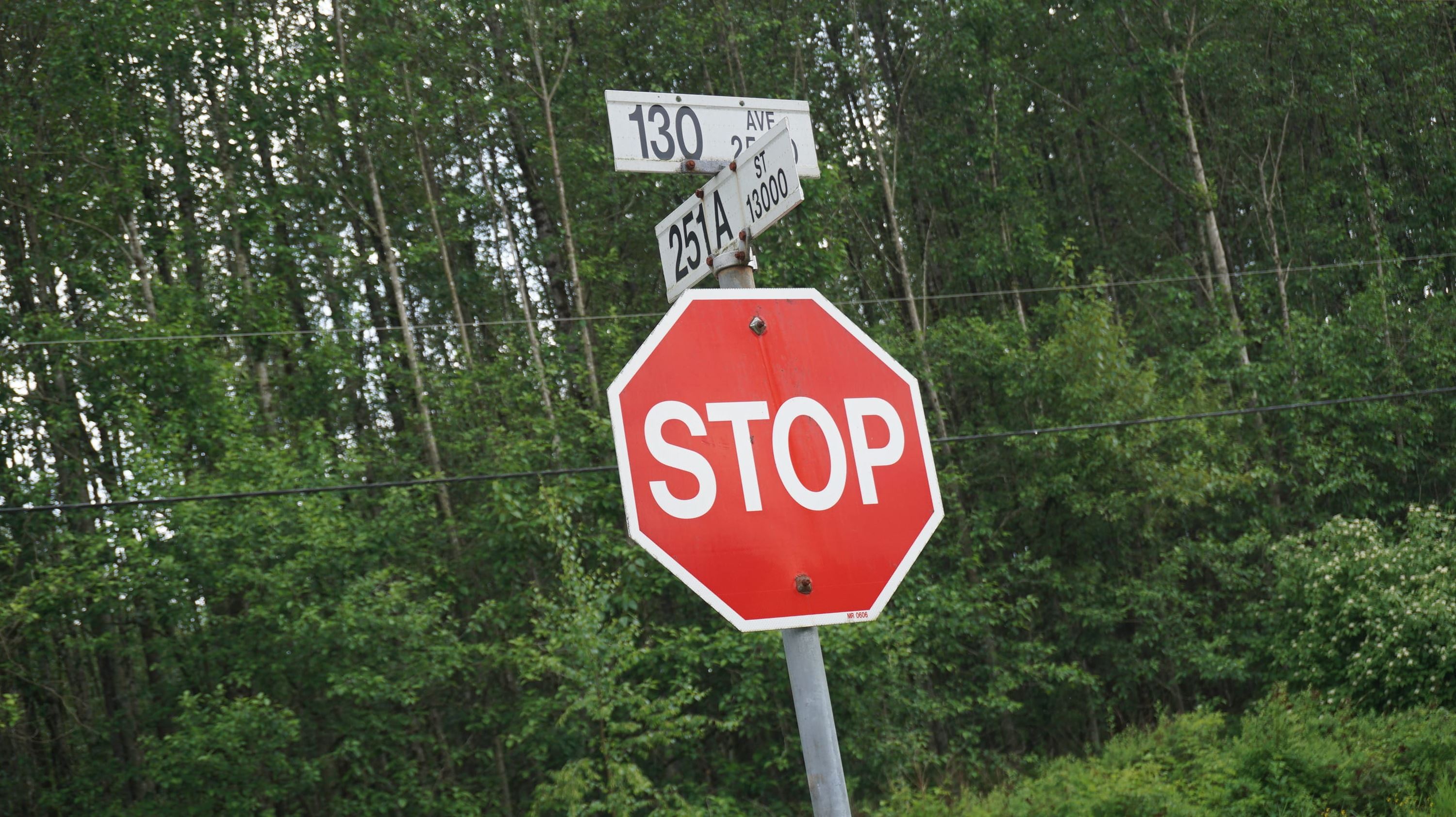 7725727.jpg