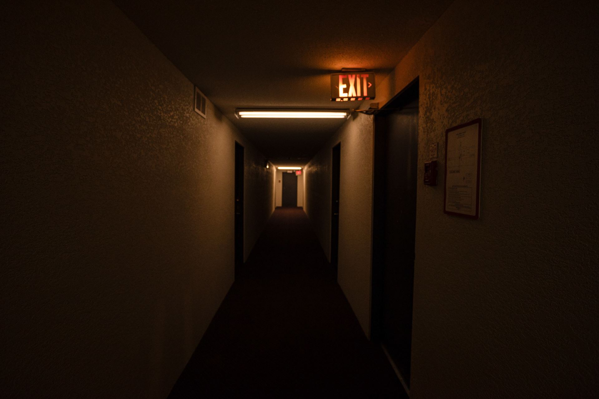 7069340.jpg