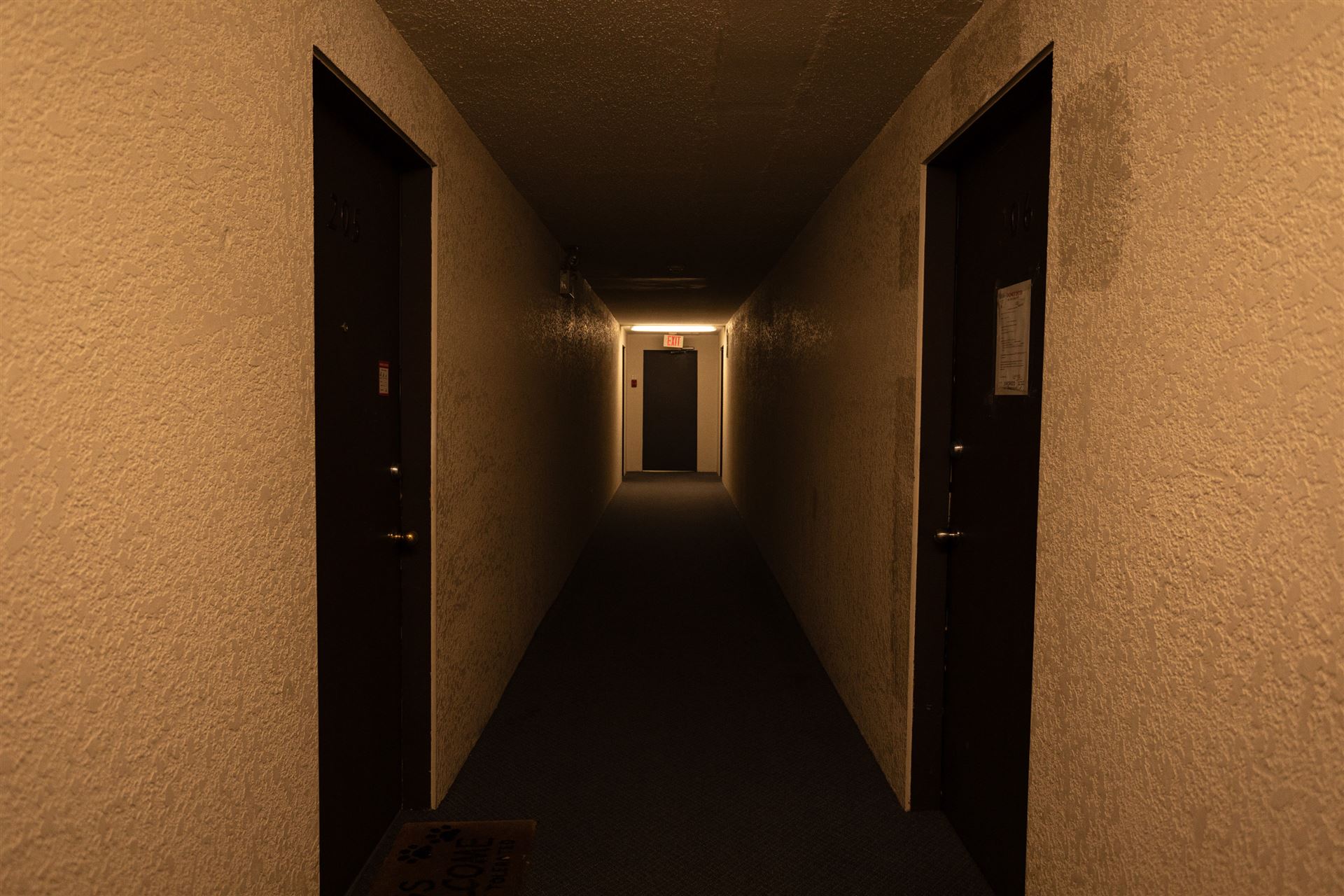 7069345.jpg