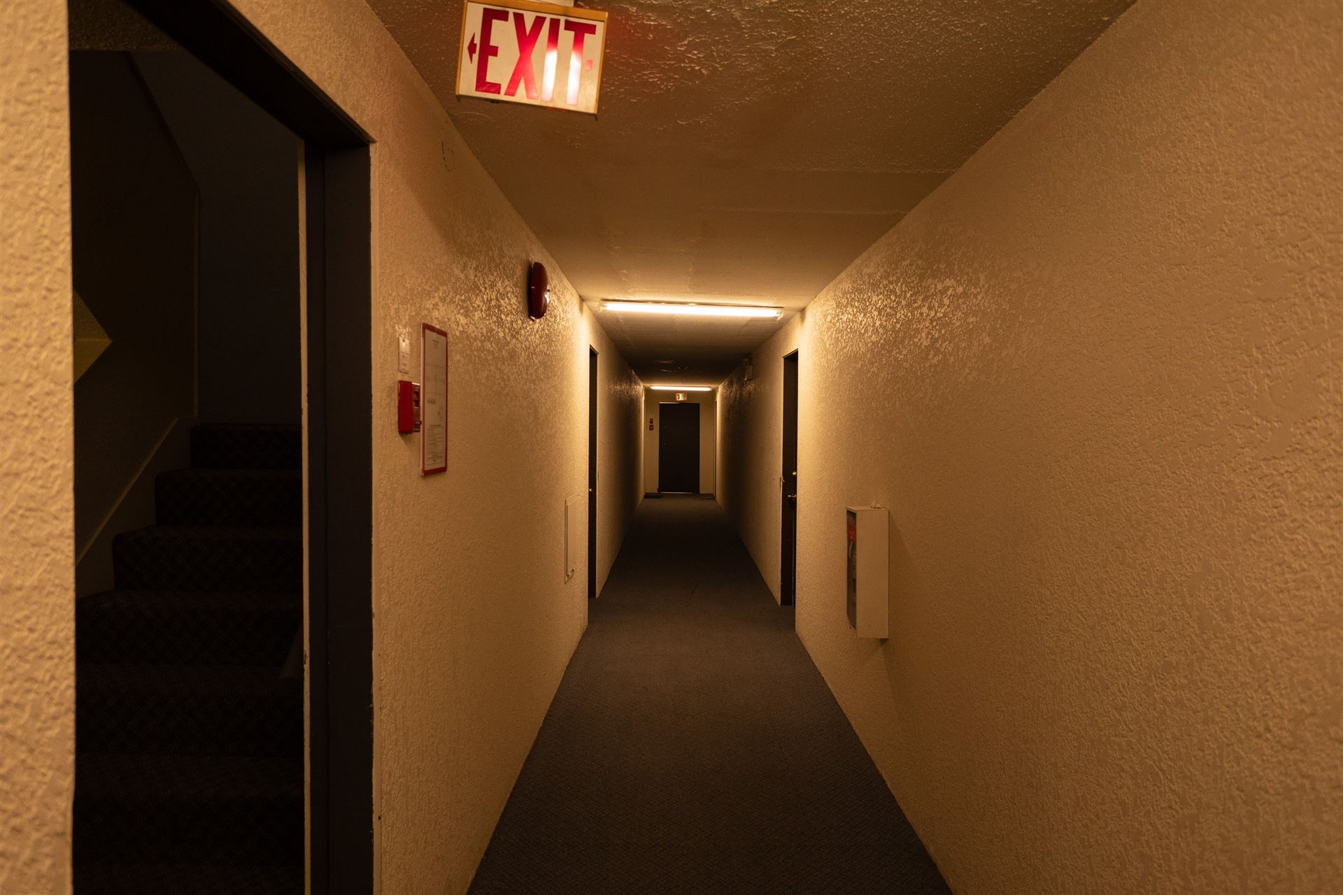 7069346.jpg