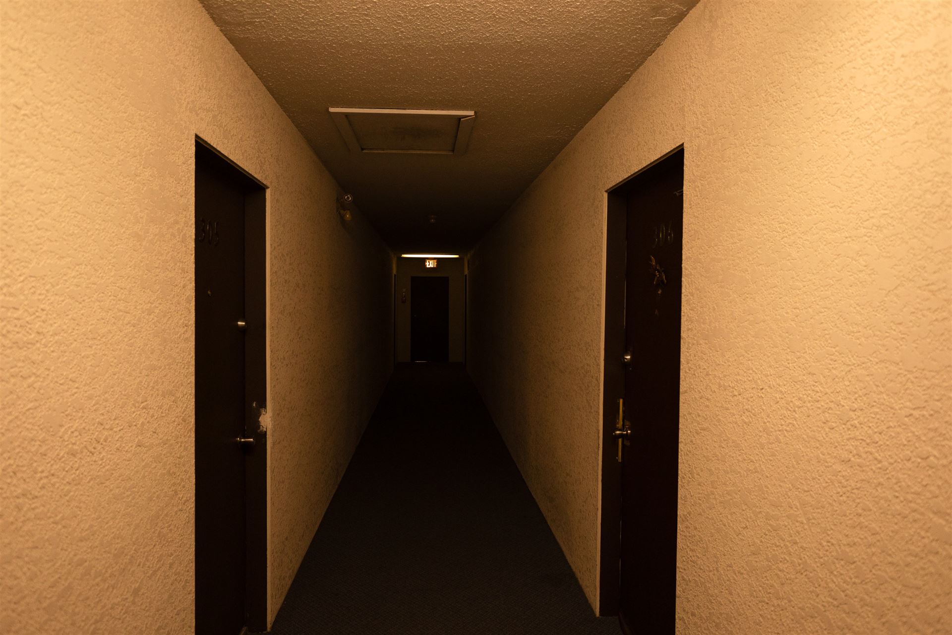 7069347.jpg