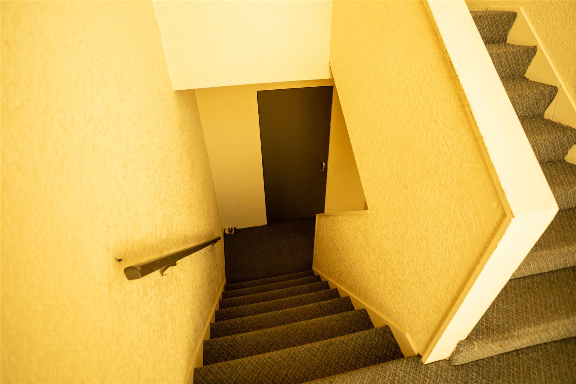 7069350.jpg