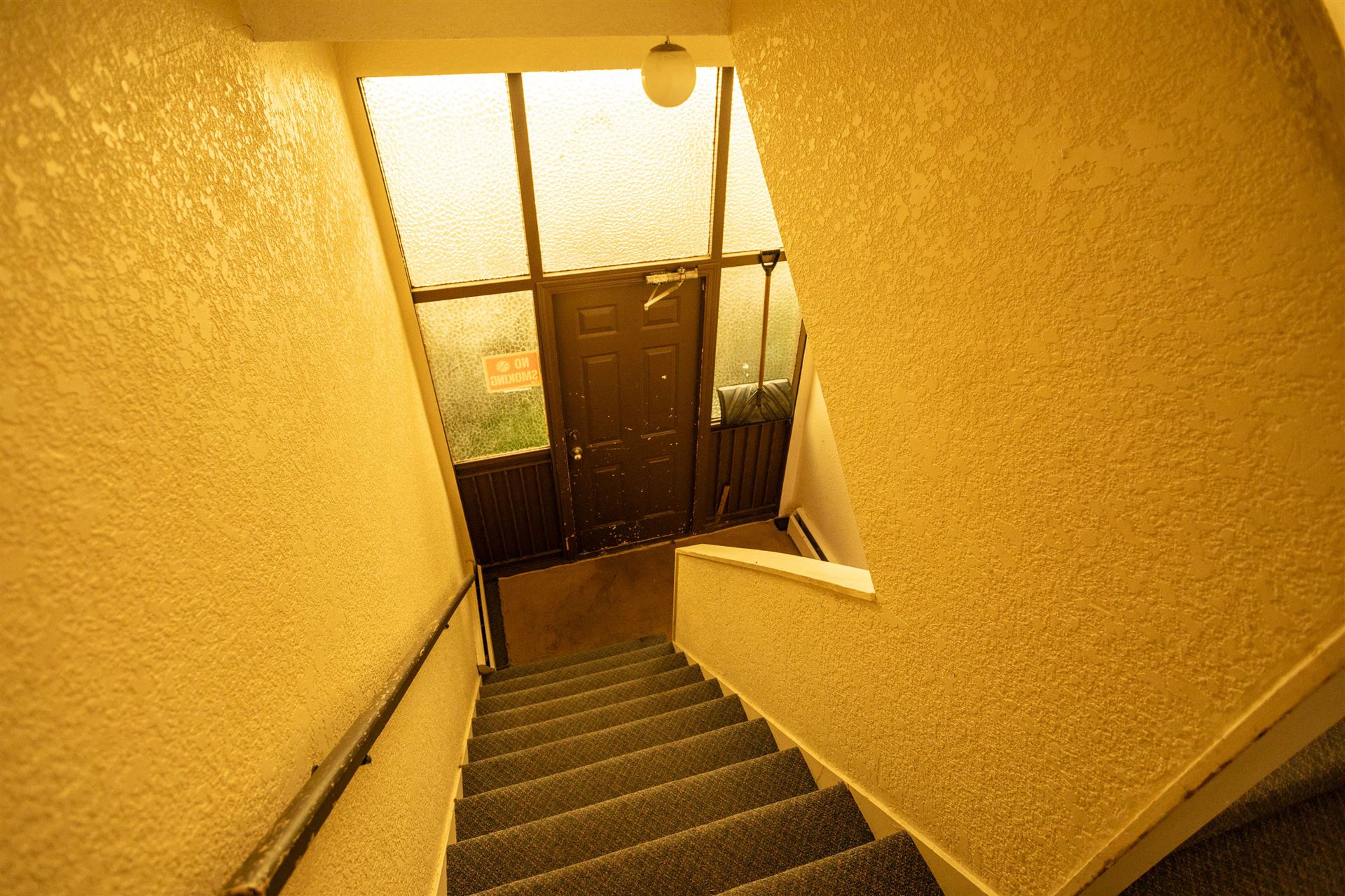 7069351.jpg