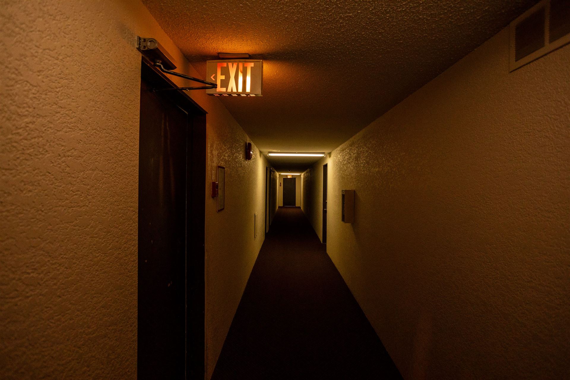 7069353.jpg
