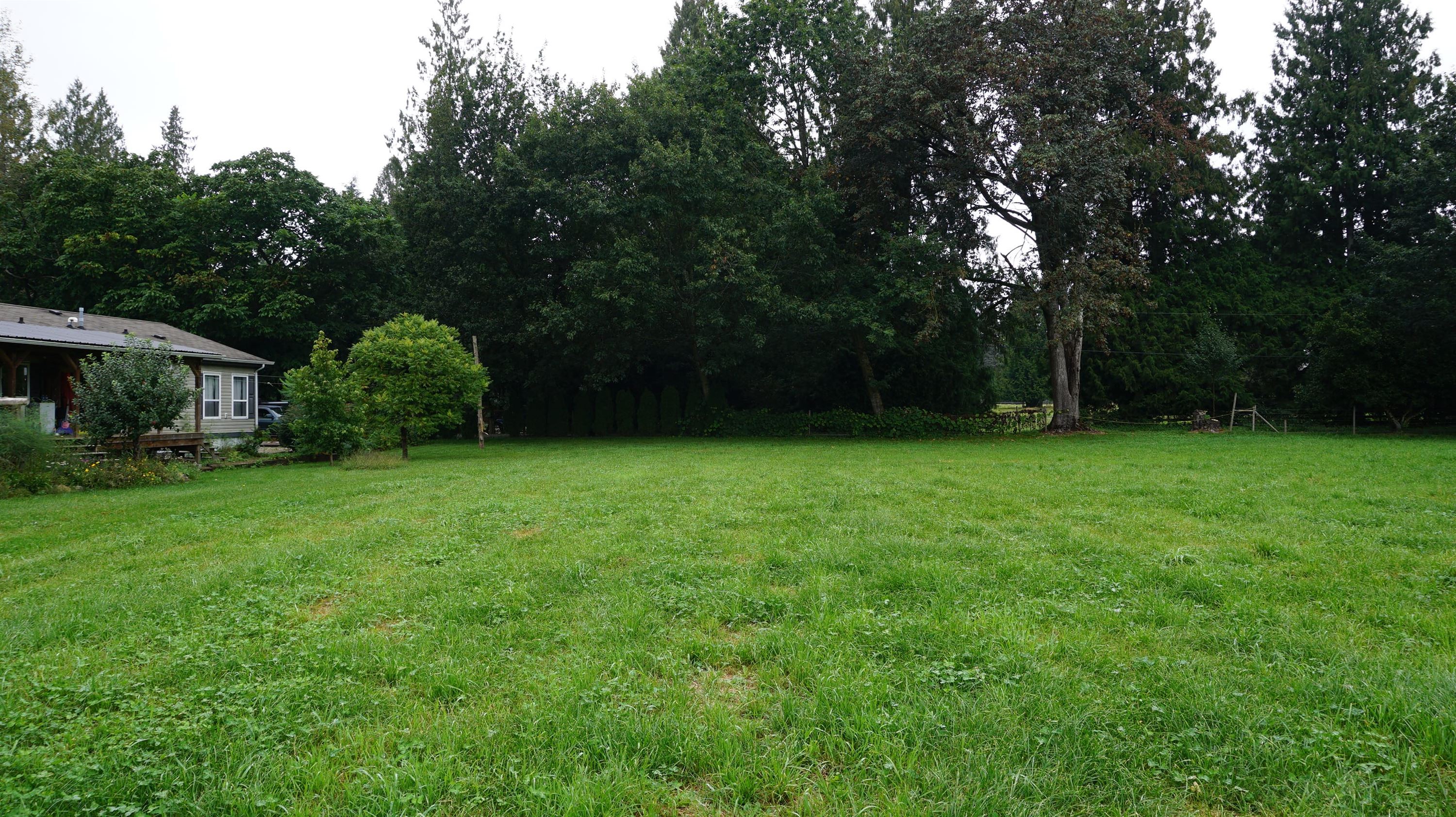 7388415.jpg