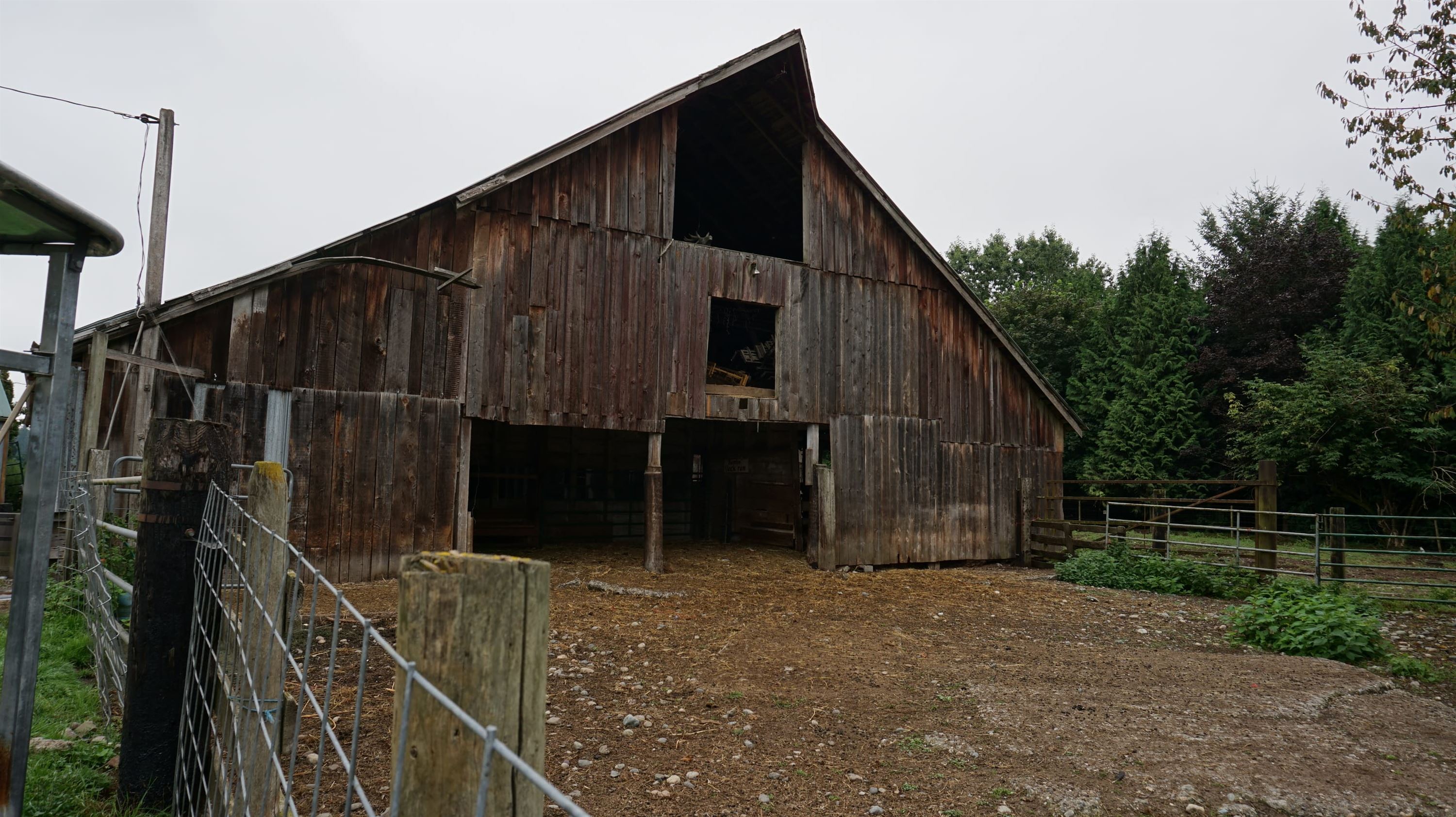 7388568.jpg
