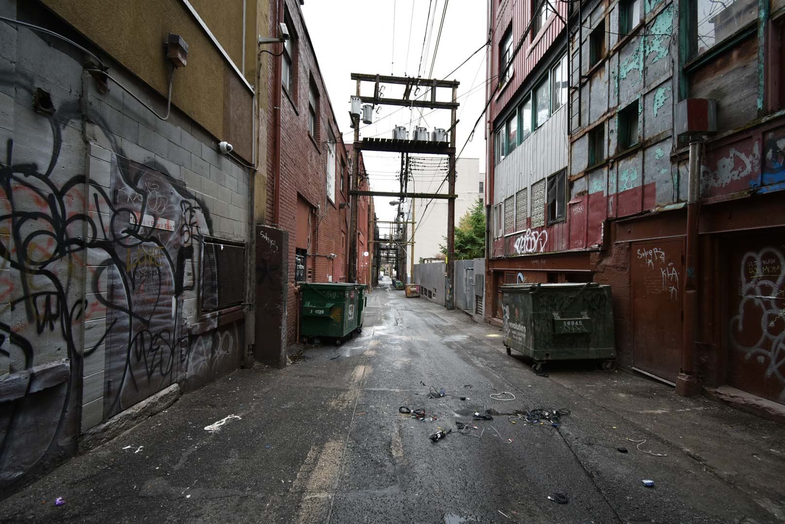 8179452.jpg
