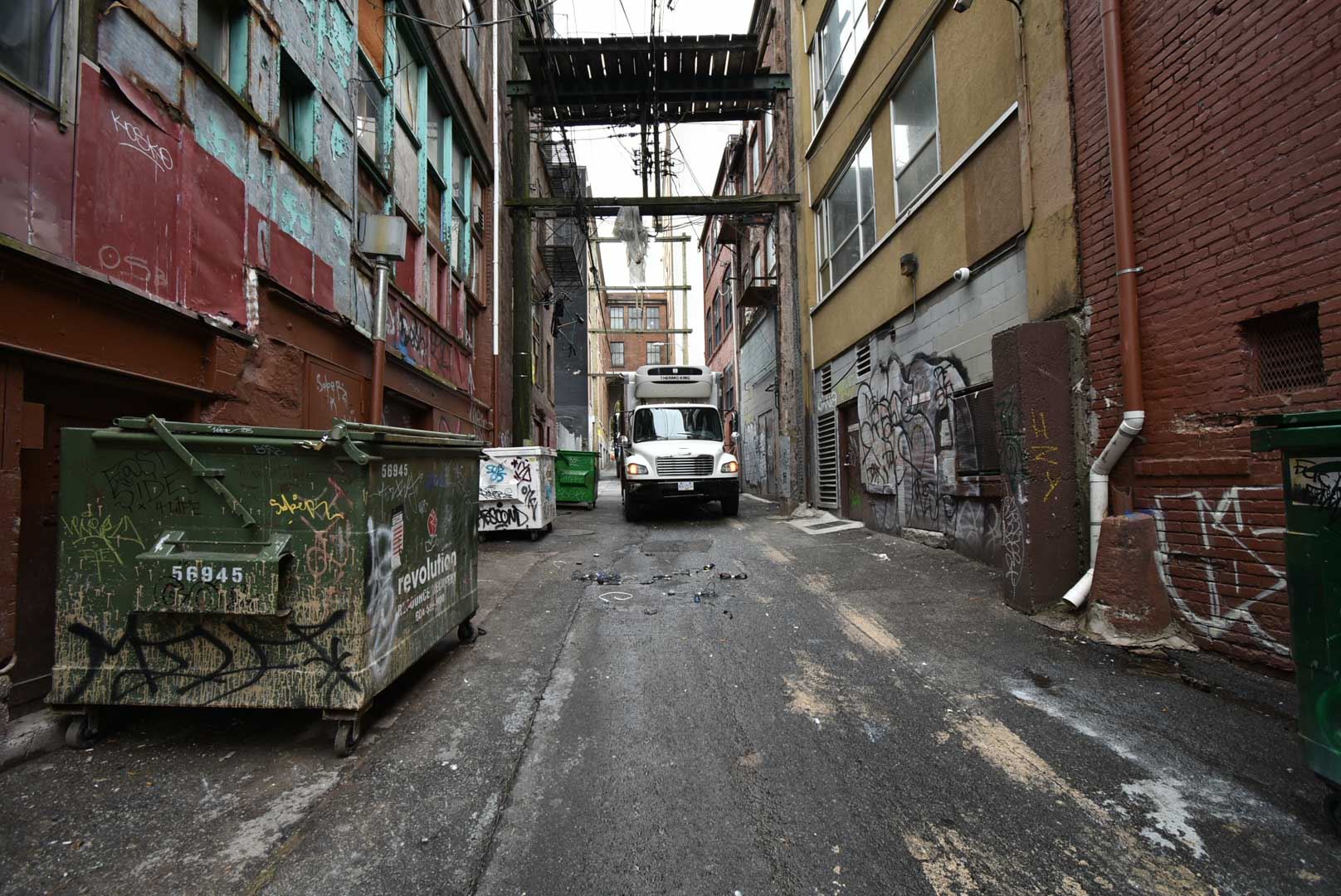 8179453.jpg
