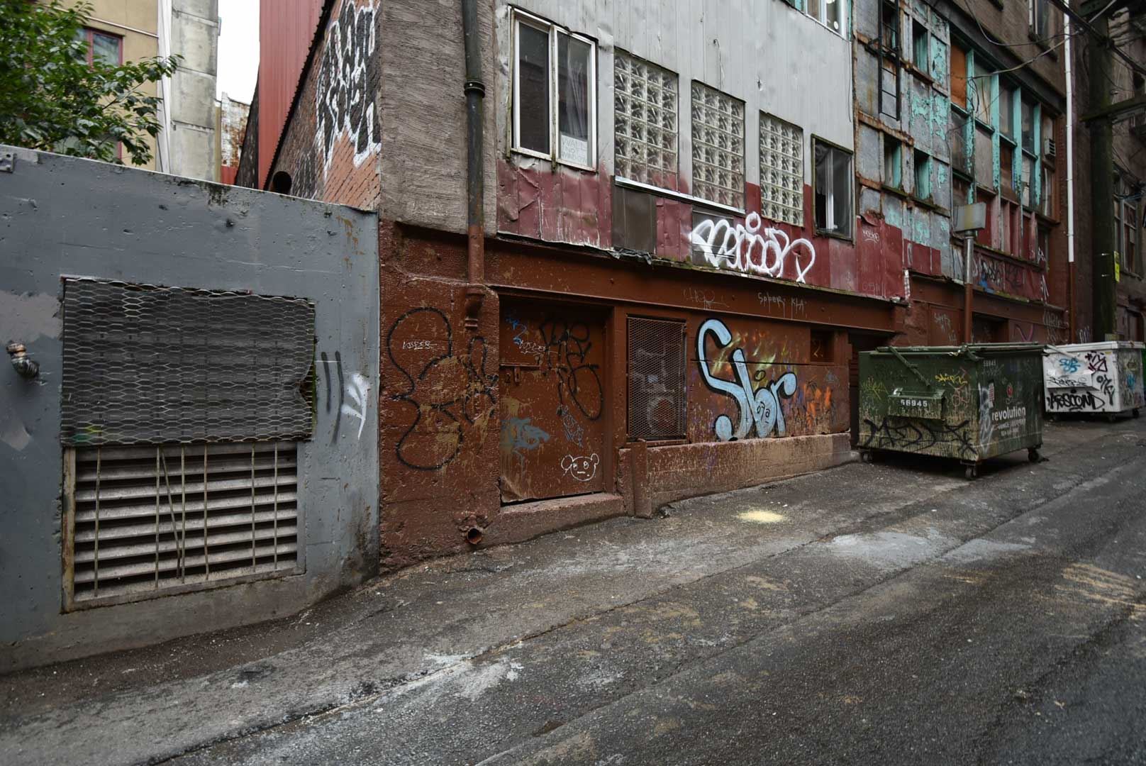 8179454.jpg