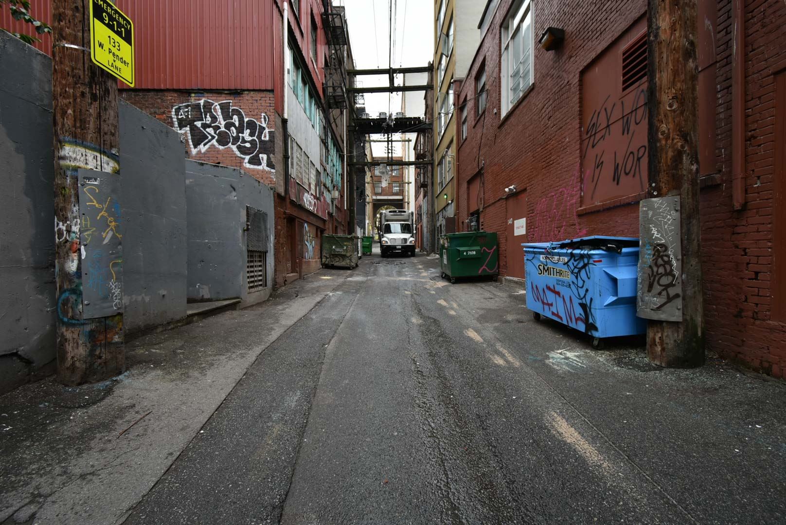 8179455.jpg