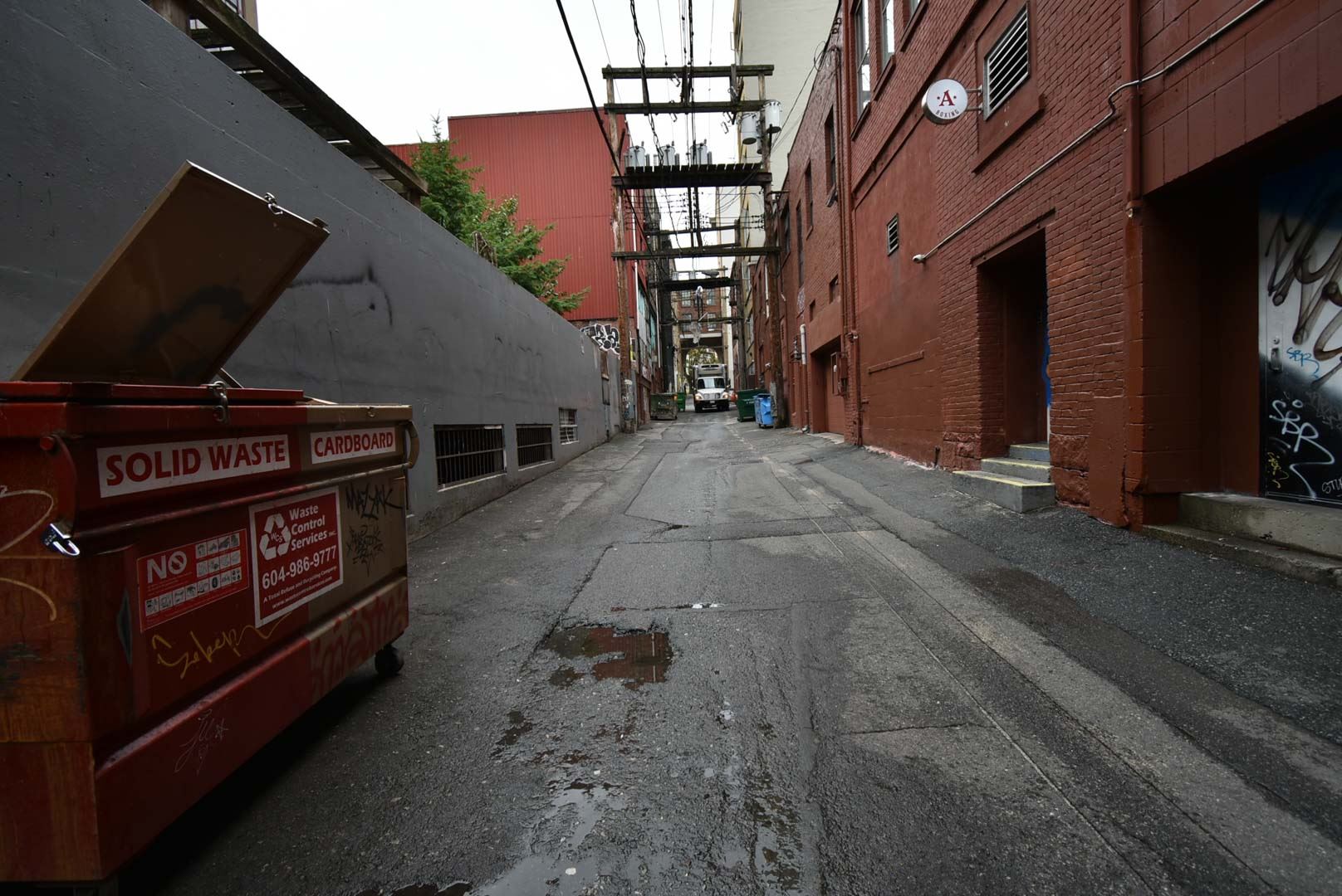 8179456.jpg