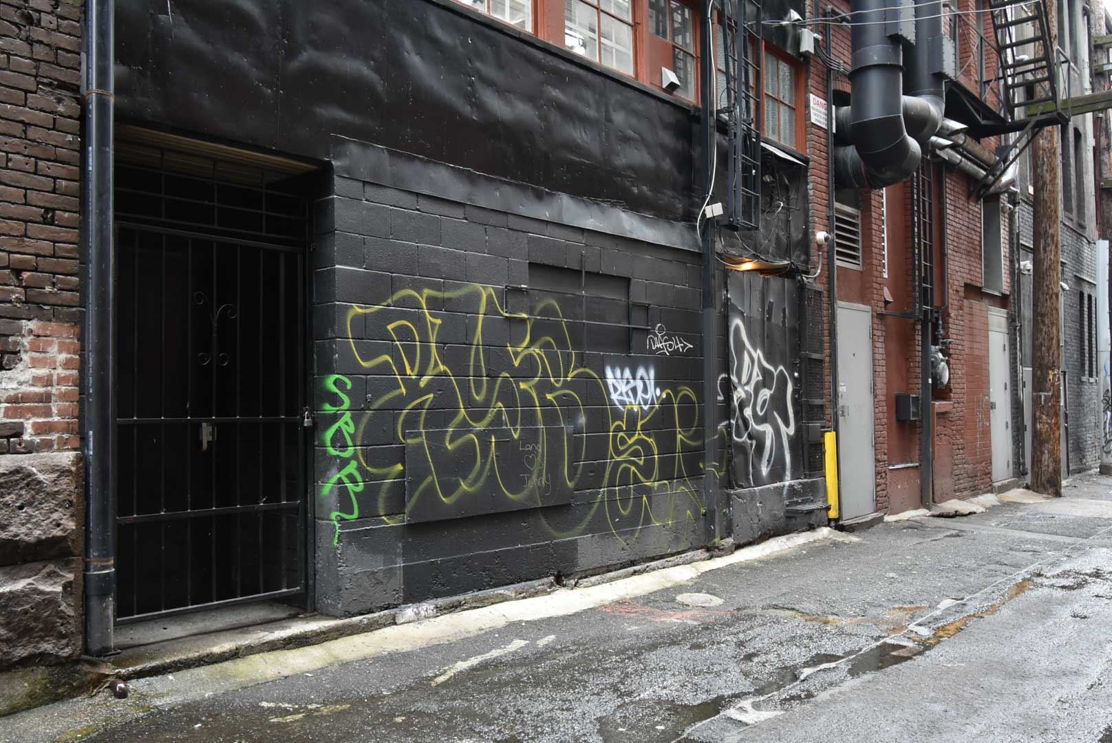 8179460.jpg