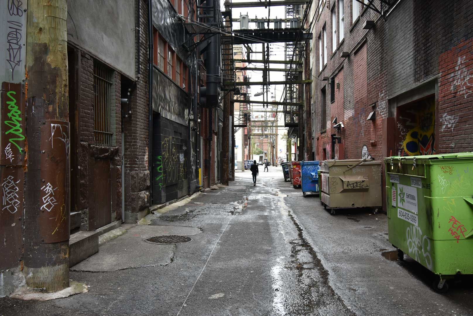 8179461.jpg