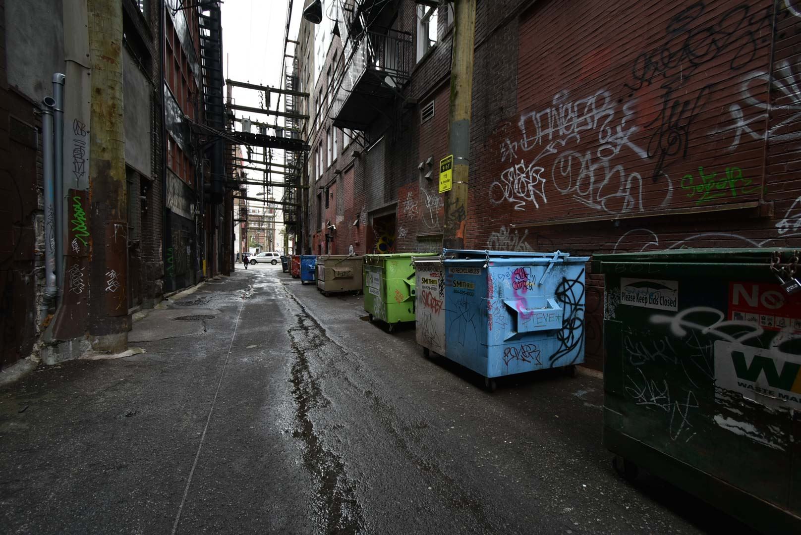 8179462.jpg