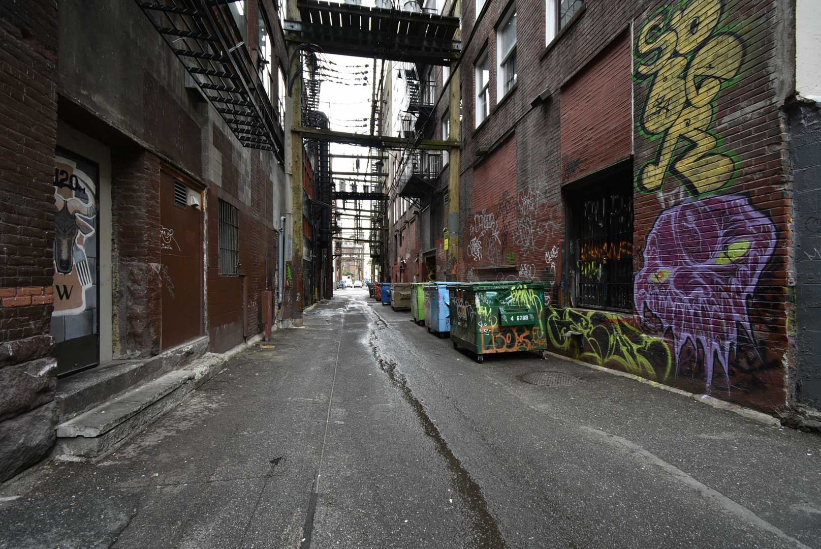 8179464.jpg