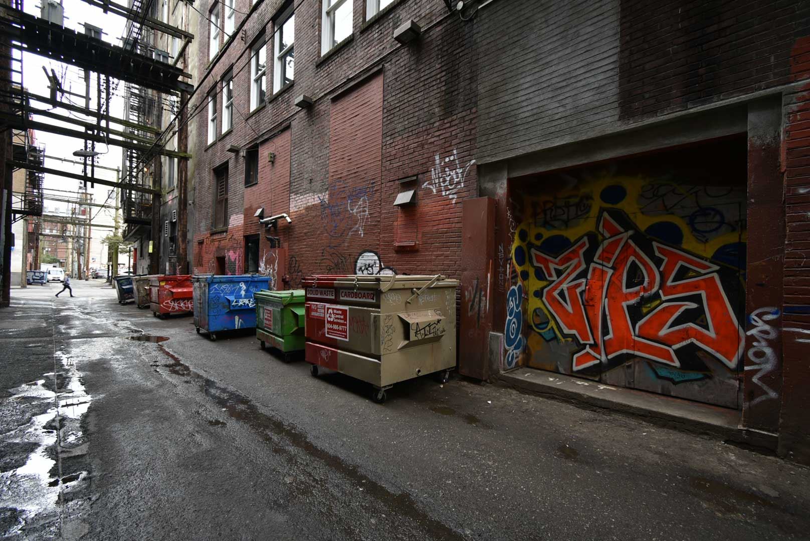 8179465.jpg
