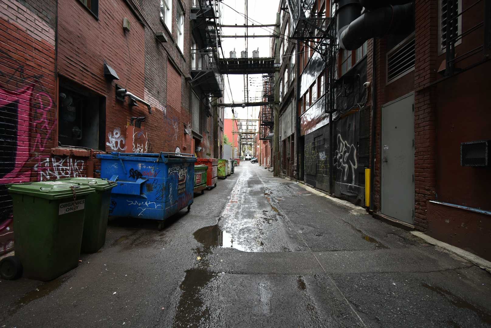 8179467.jpg