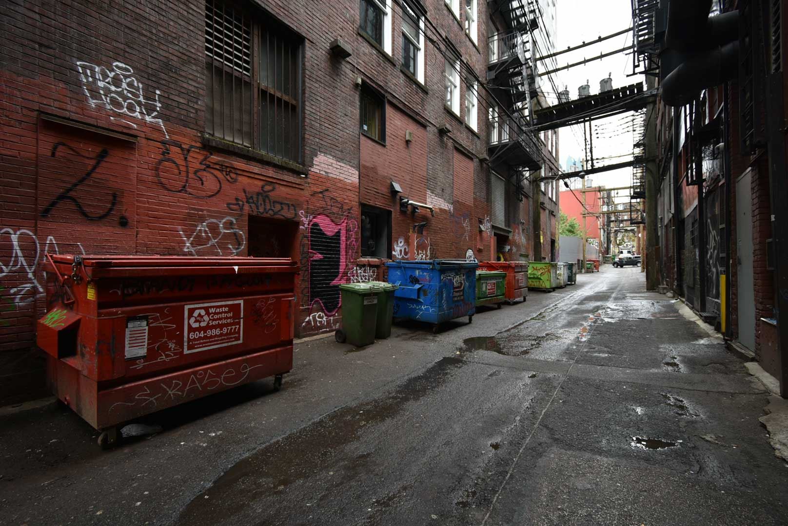 8179468.jpg