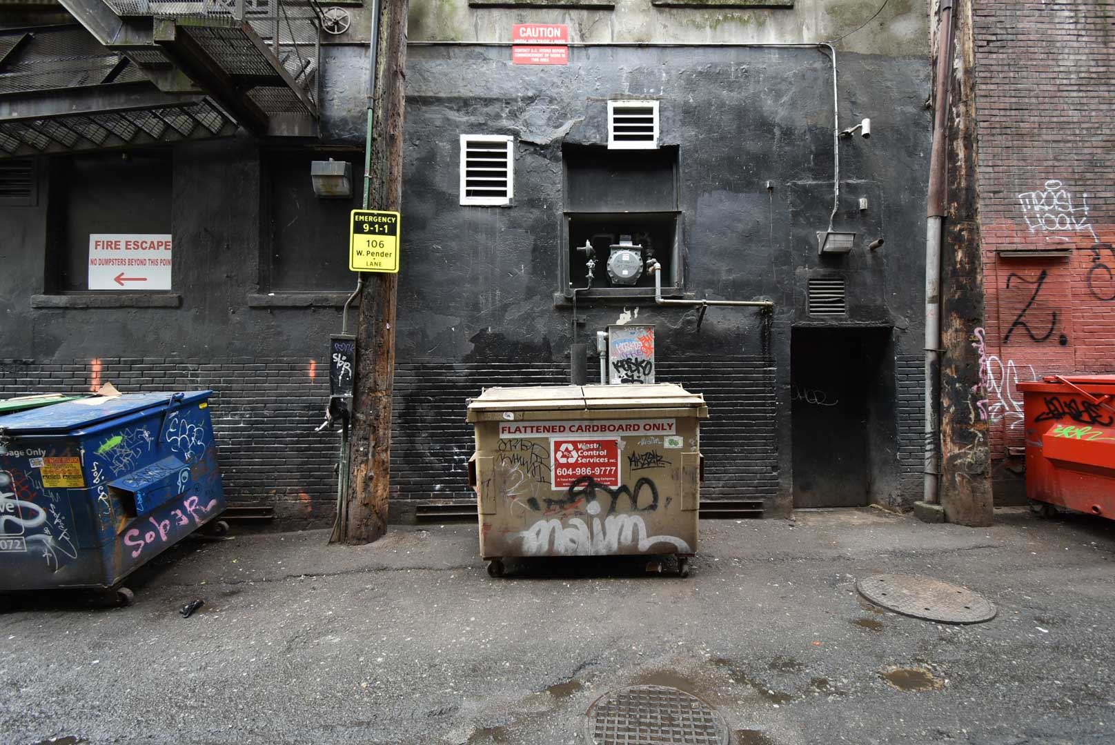 8179469.jpg