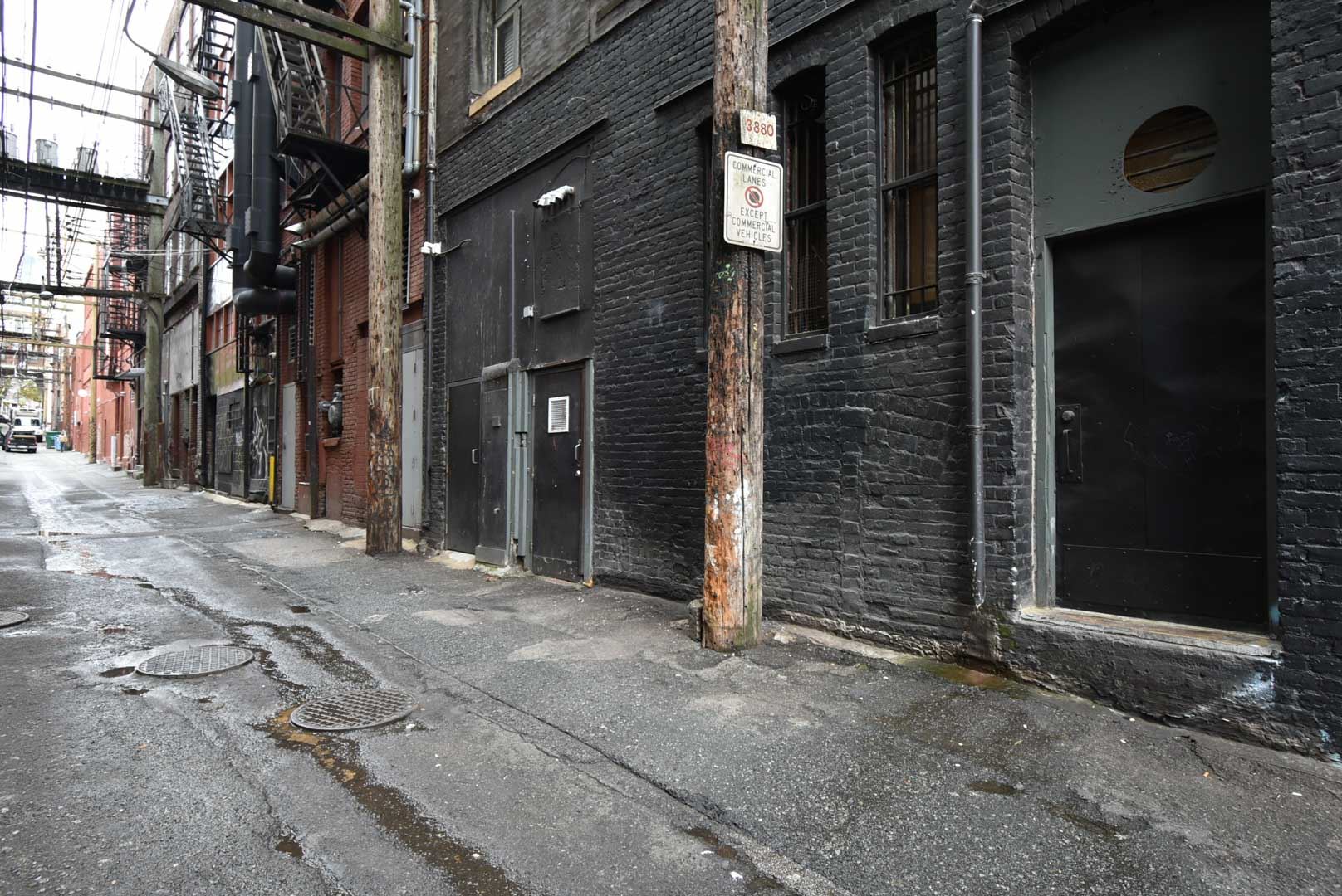 8179470.jpg
