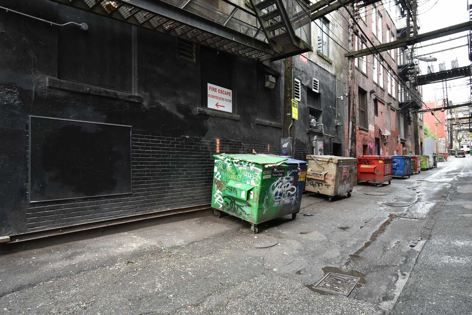 8179471.jpg
