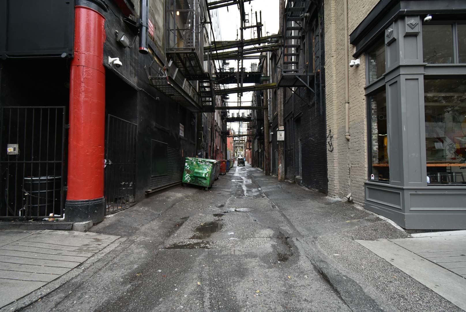 8179472.jpg