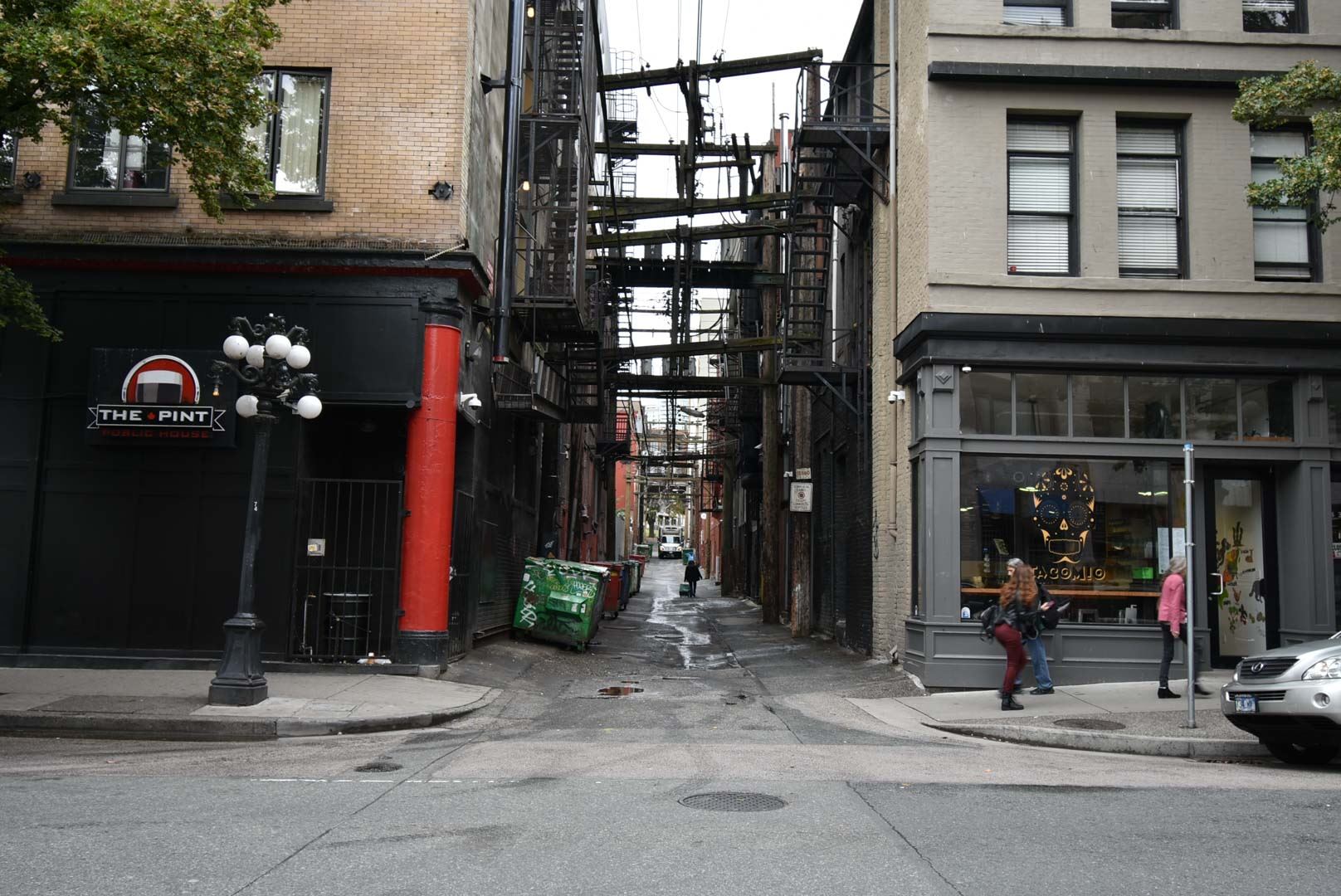 8179473.jpg