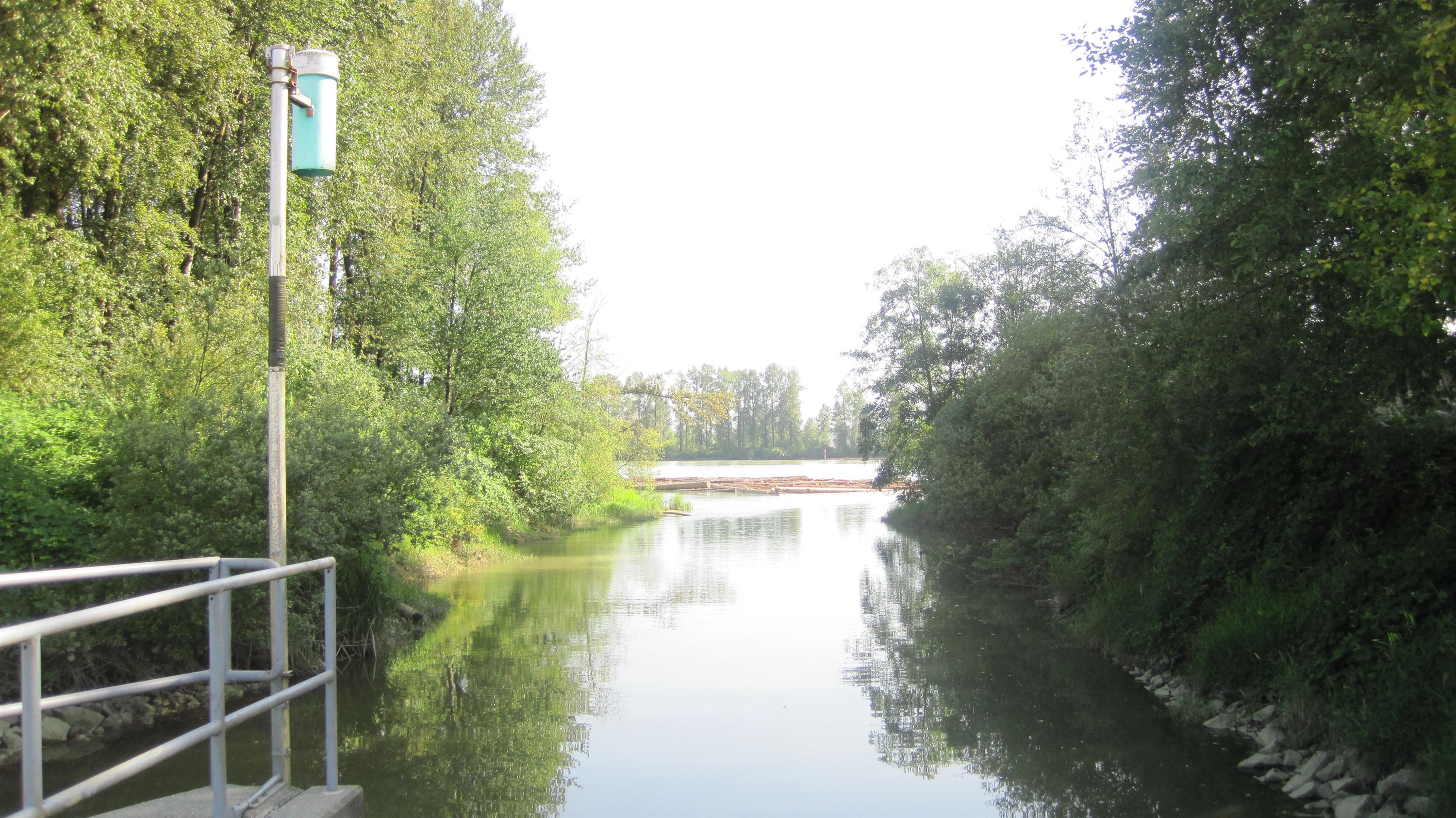 548199.jpg