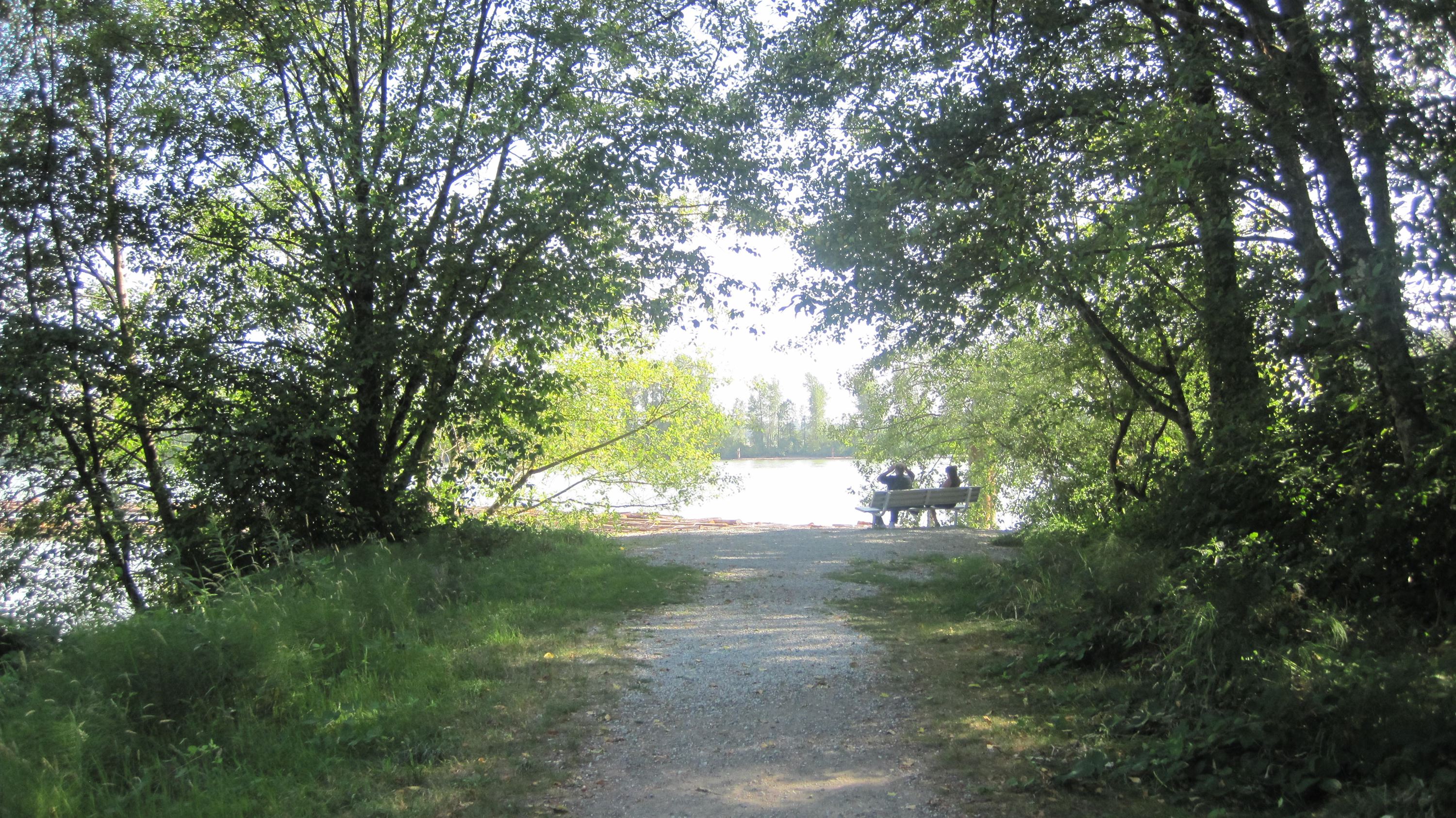 548205.jpg