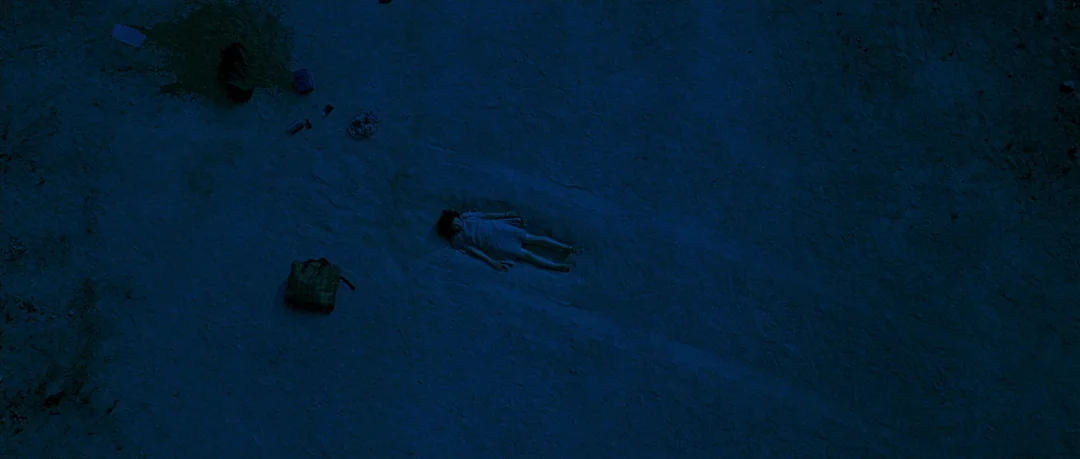 thirst-2009-director-park-chan-wook-v0-oo22lg6pap7g1.webp